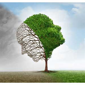 Bipolar Affective Disorder