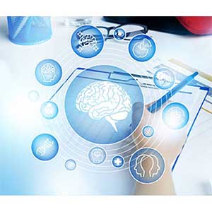 Brain-Based Therapy: Evidence-Based Treatment for Everyday Practice 